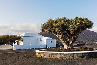 Marvelous将于5月底直播 展示PC和主机游戏