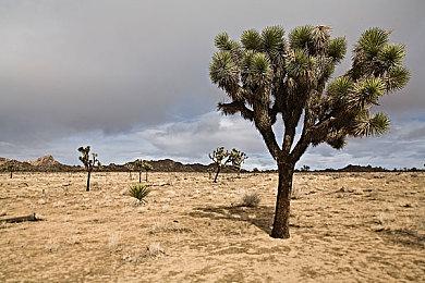 《漫威蜘蛛侠2》宣布媒体预览活动 9月15日举行